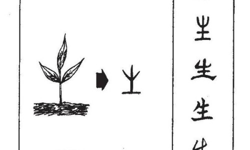 黑芝麻与白芝麻功效区别-黑芝麻与白芝麻功效网 - 为你提供黑芝麻与白芝麻功效区别、黑芝麻有什么作用和功效